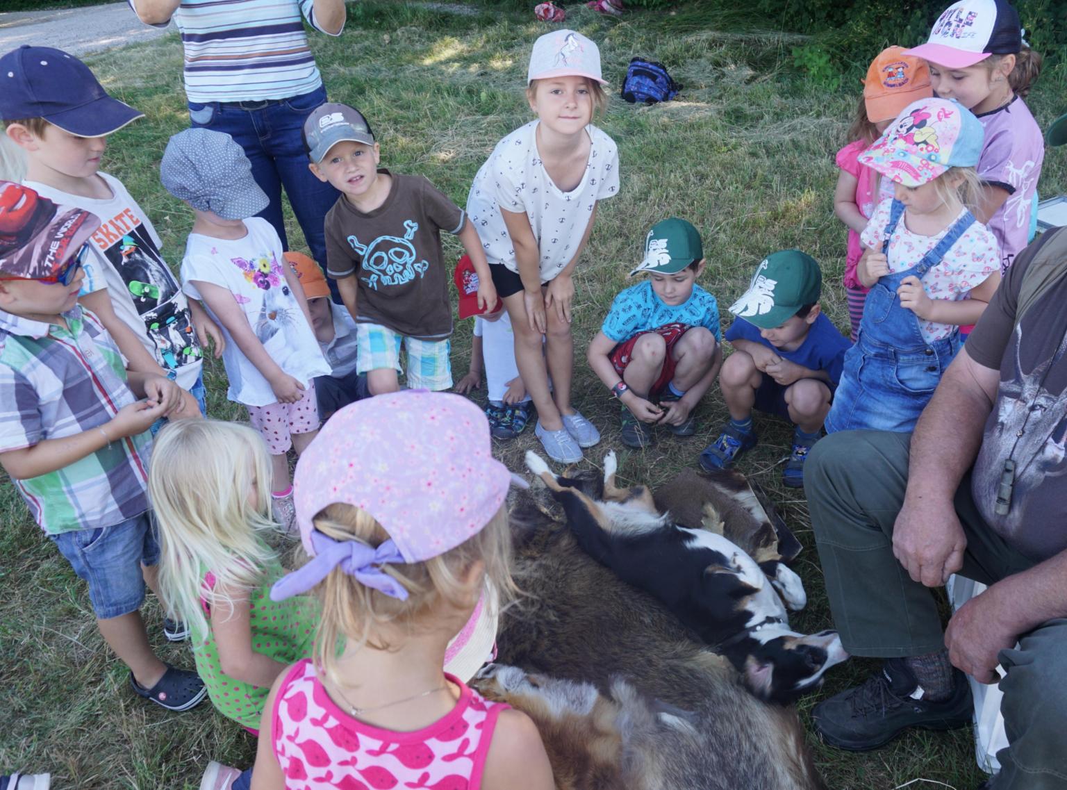 03.07.2019 Wildmobil (c) Kindergarten