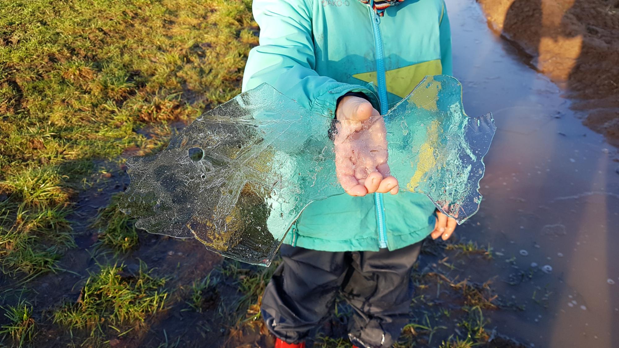 Naturparadies Wimmelbach – Unsere Kinder entdecken seltenen „Eisfisch“