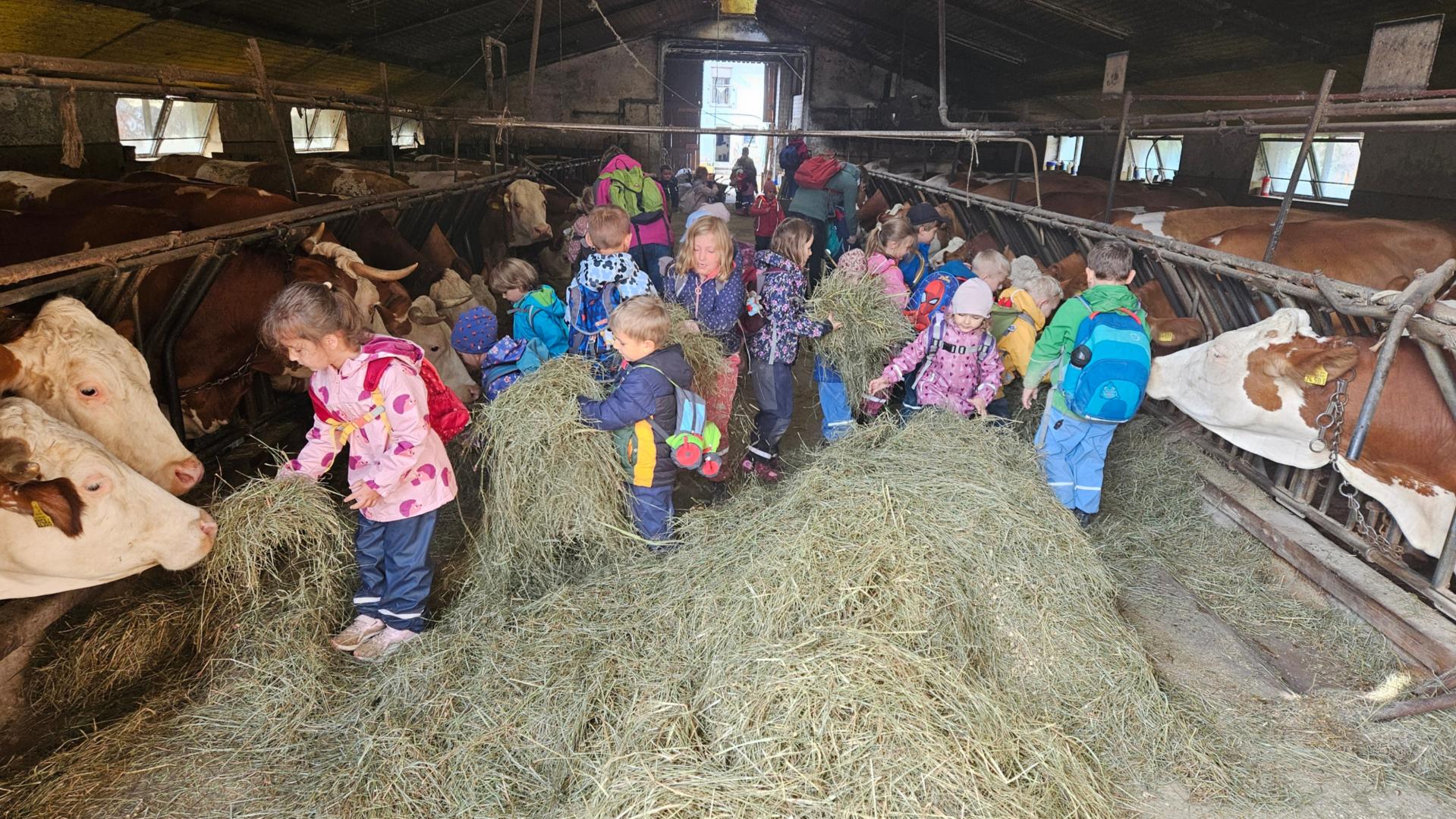 Auf Schusters Rappen auf den Bauernhof nach Oesdorf (c) Kita