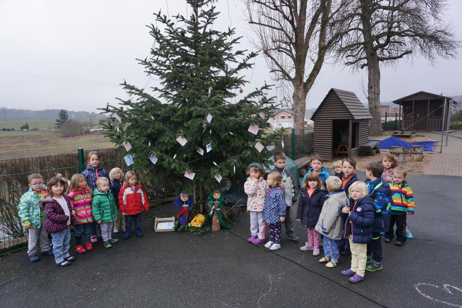 Und noch einmal ein Weihnachtsbaum (c) Köhler Monika