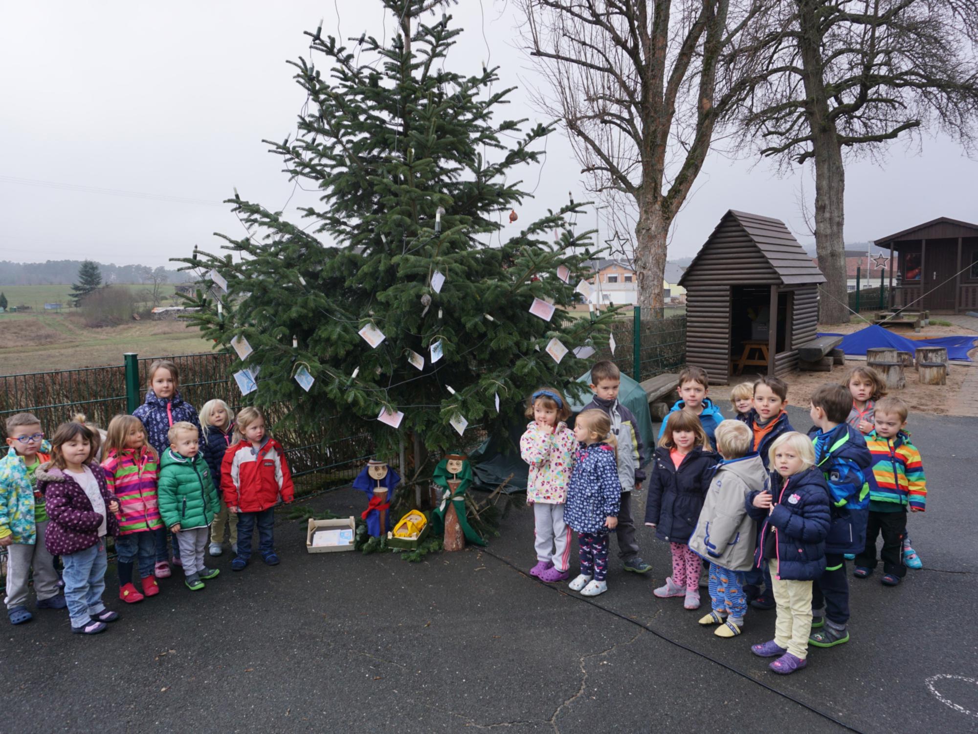 Und noch einmal ein Weihnachtsbaum