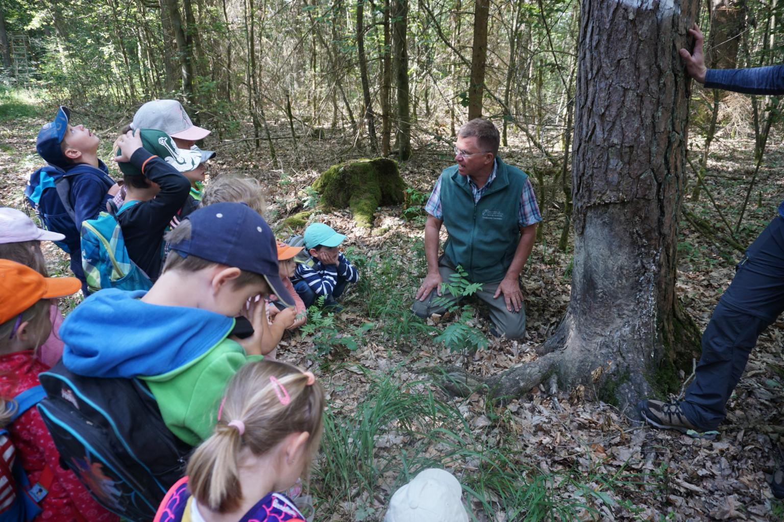 Mit dem Förster in den Wald (c) Kindergarten